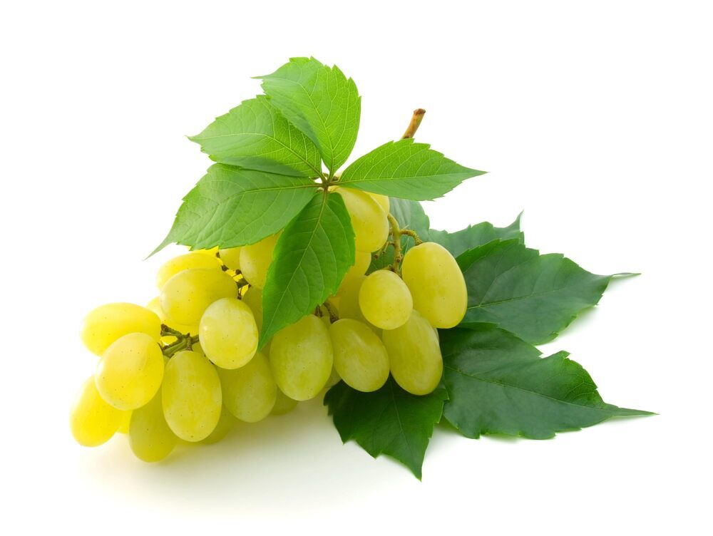 Fresh Grapes